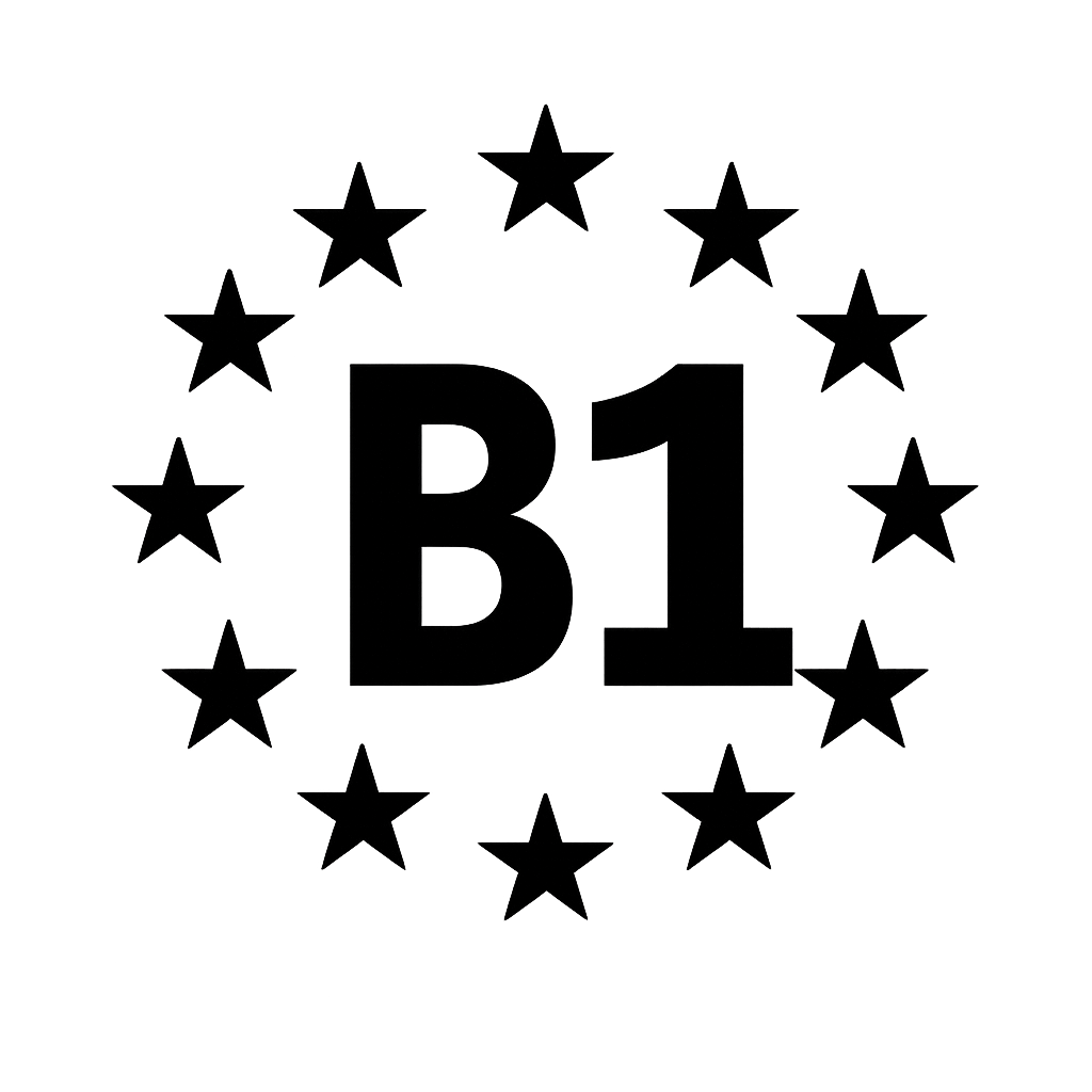 B1 — Intermediate icon